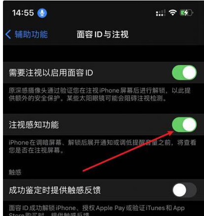 新田苹果14维修网点分享iPhone14注视感知功能有什么用 